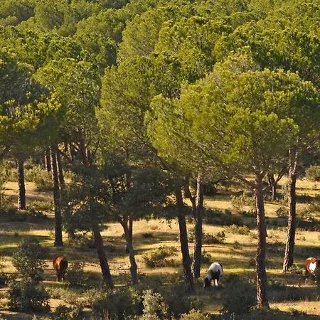 Εξοχικό σπίτι El Capricho De Navares Pozanco